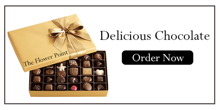 deliciousd chocolate