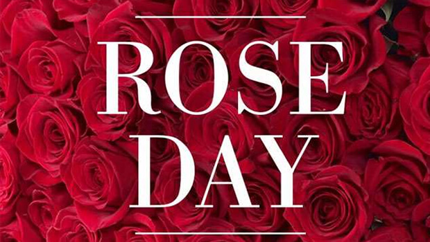 rose-day