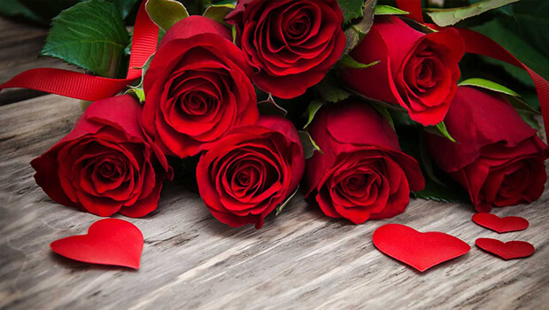 roses-for-valentine-day