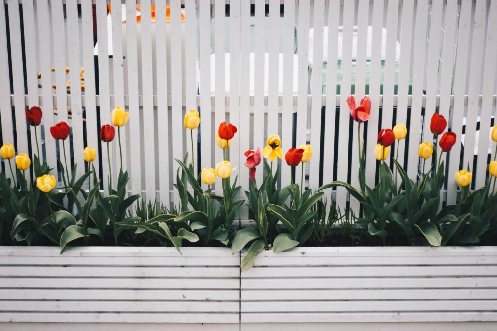 Flowering Plants