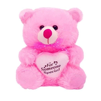12 Inch Pink Colour Teddy Bear
