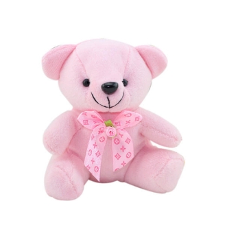 6 Inch Pink Colour Teddy Bear
