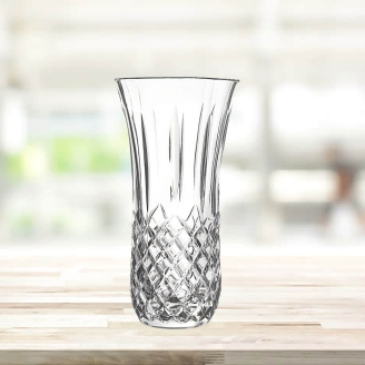 Delicate Glass Vase