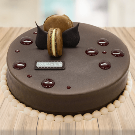 Dark Chocolate Danache Cake