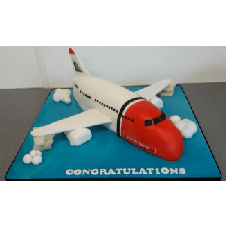 Kids Special Aeroplane Cake