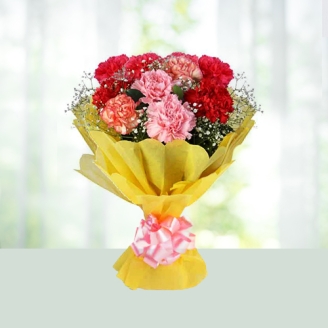 Bouquet of 8 Mix Carnations