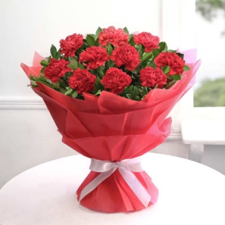 Bouquet of 10 Red Carnations