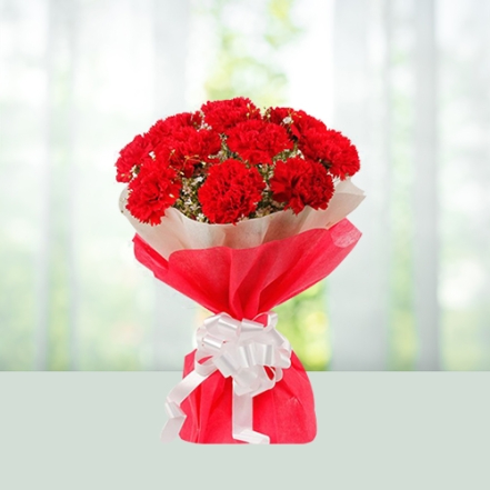 Bouquet of 8 Red Carnations