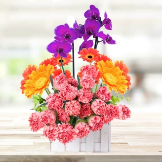 Beautiful Basket of Purple Orchids & Gerberas
