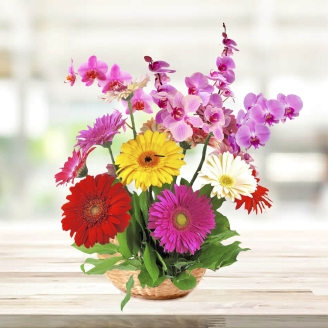 Beautiful Basket of Purple Orchids & Mix Gerberas 