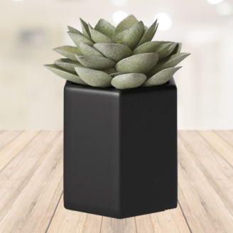Small Artificial Succulent With Black Pot 