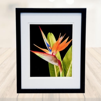 Portrait  Photo Frame