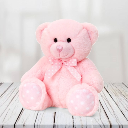 12 Inch Pink Teddy