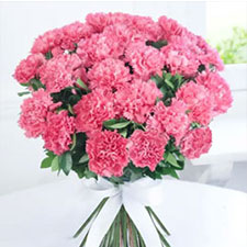 Carnations